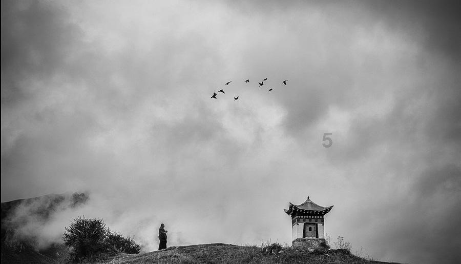 狮子十二月复合攻略游戏画面